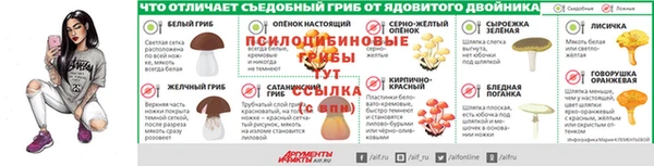 прущий лед Бронницы