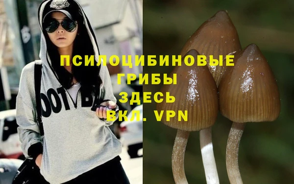 бошки Бородино