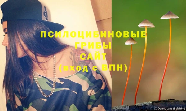 ГАЛЛЮЦИНОГЕННЫЕ ГРИБЫ Богородицк