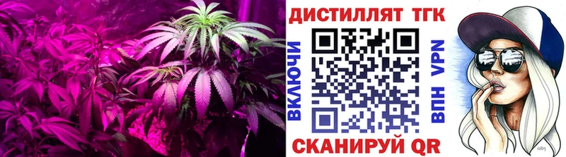 ТГК гашишное масло  OMG tor  Данков 